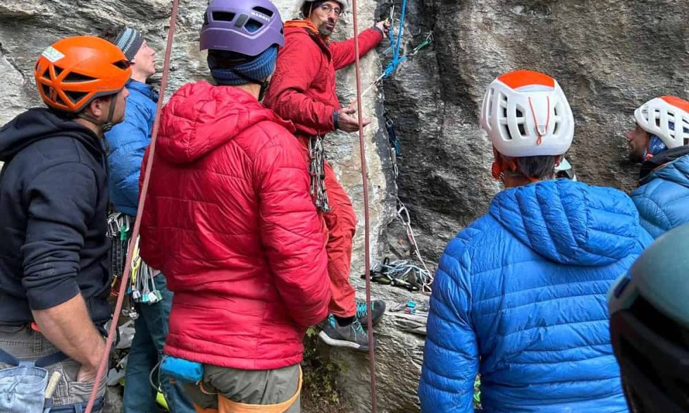 Our complementary & continuing trainings 2025 are online